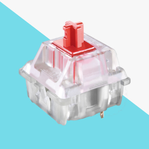 image for this item