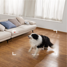 T84001W1-F0