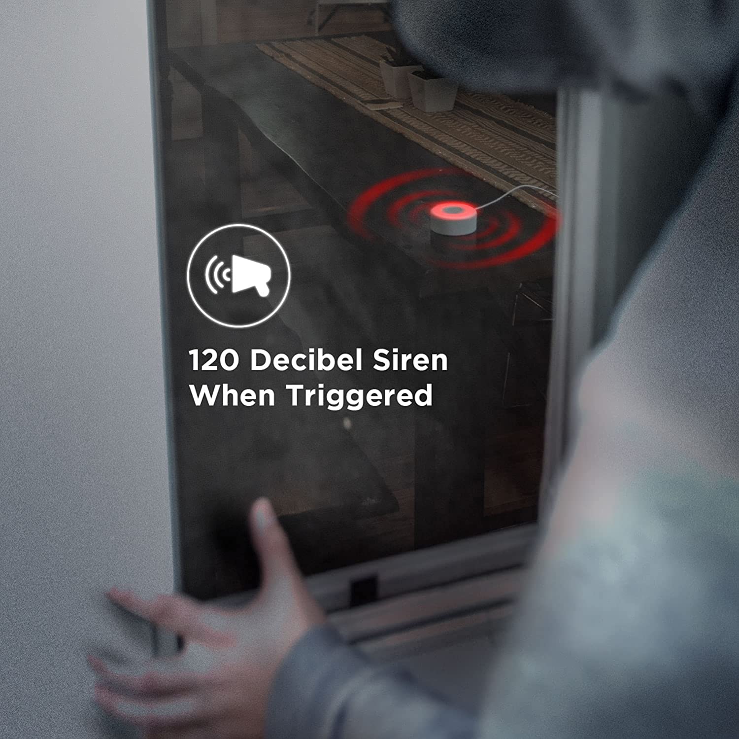 image for this item