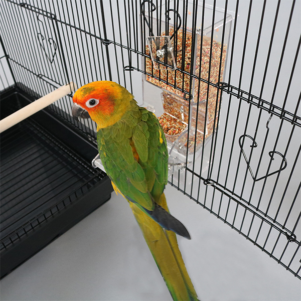 With Bird Perch