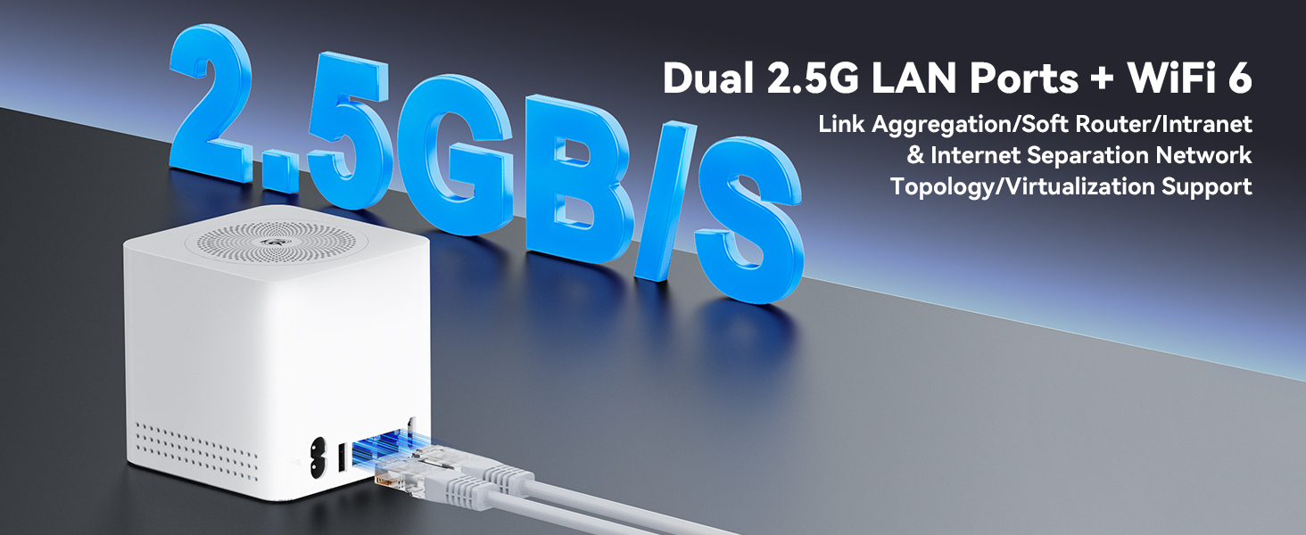 Dual 2.5G LAN
