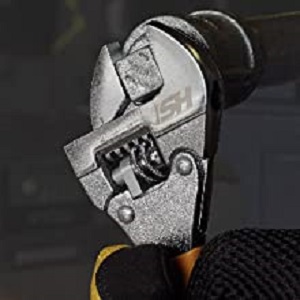 image for this item