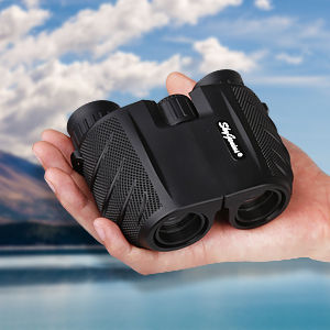 image for this item