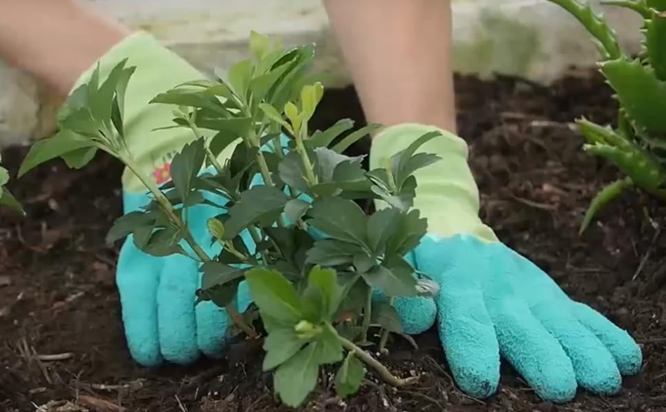 Gloves in action of the dirt, planting, planting, planting