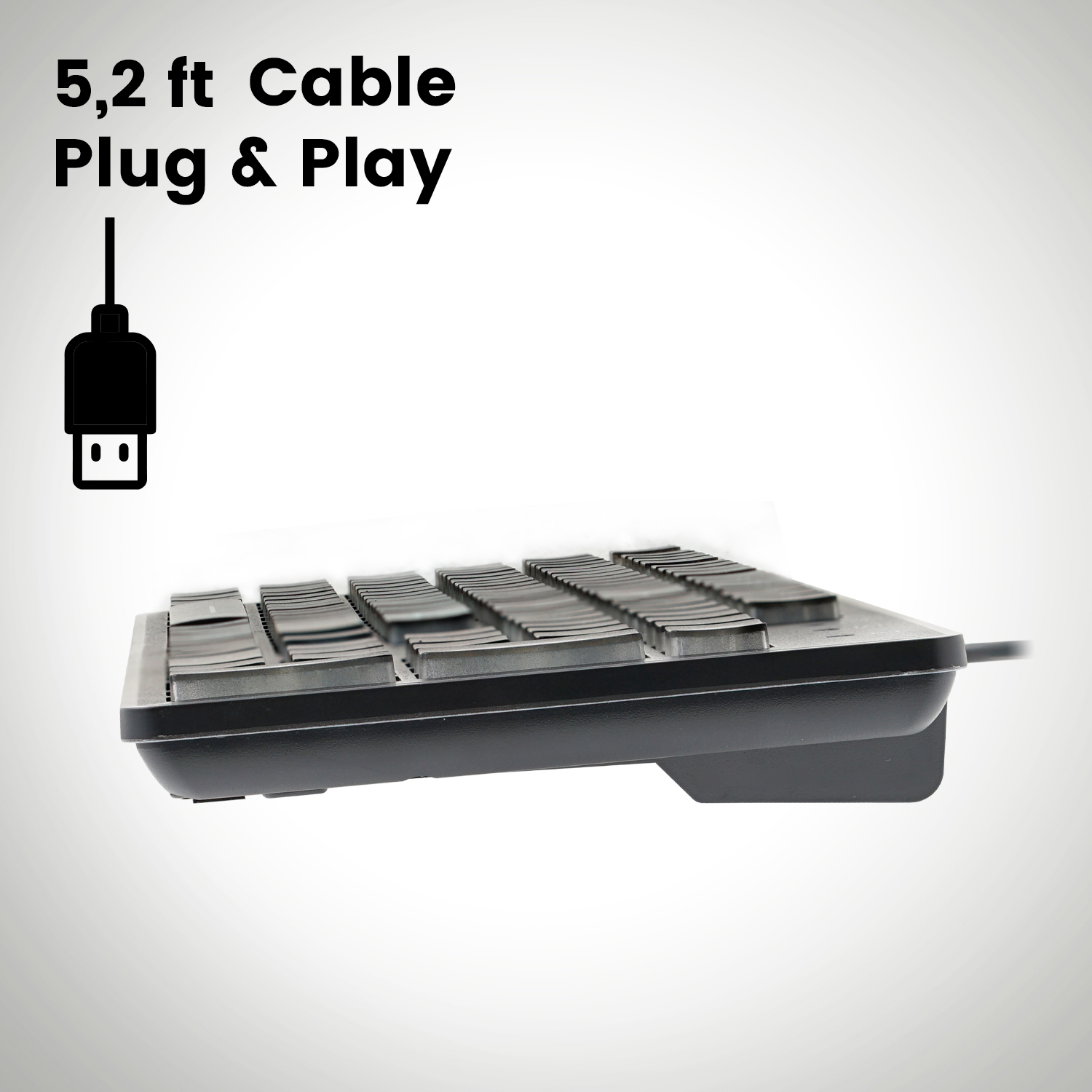 image for this item