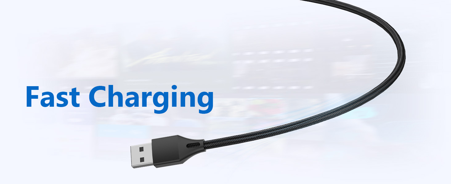 Fast Charging