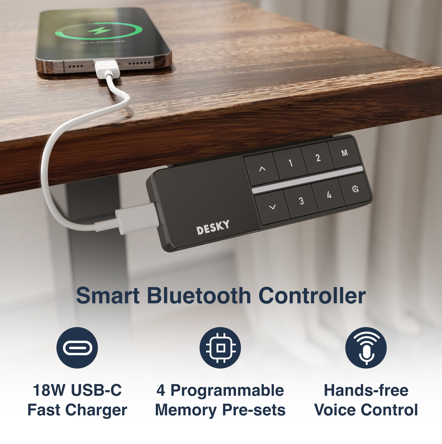 Bluetooth & Voice Control