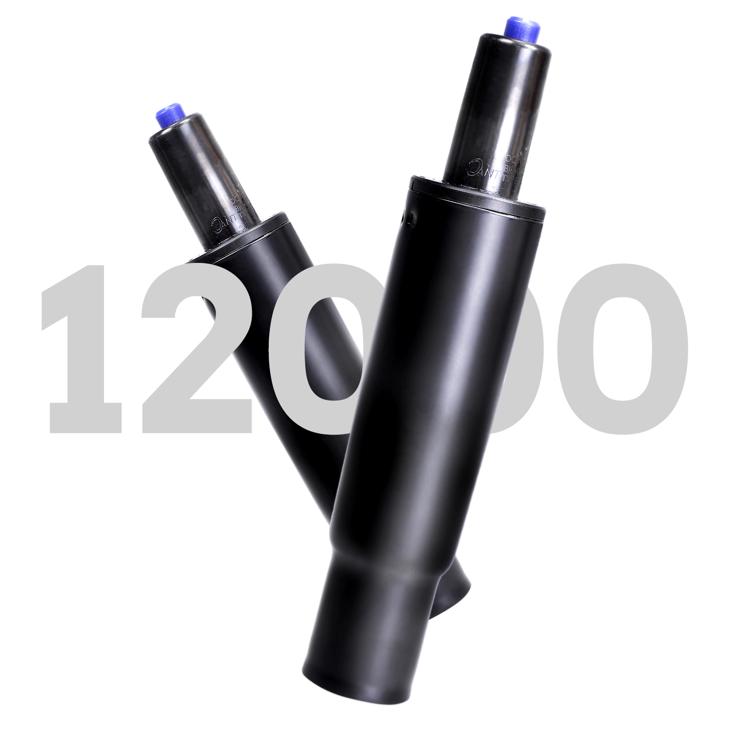 image for this item