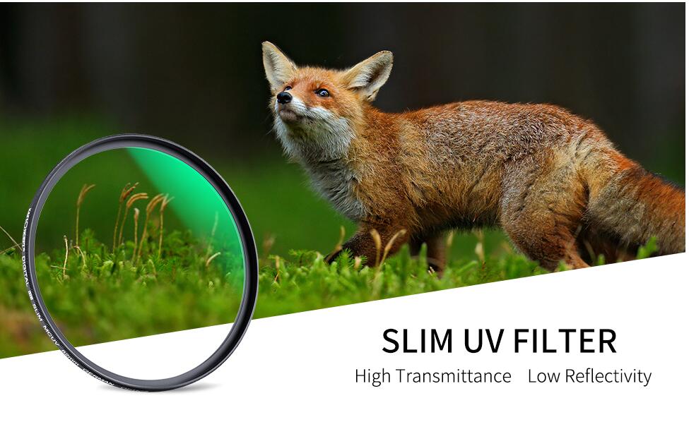 image for this item