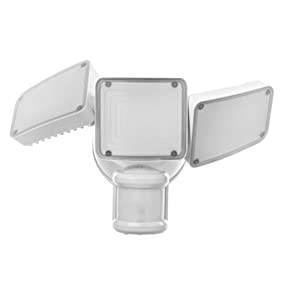 image for this item