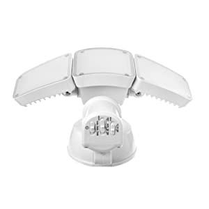 image for this item
