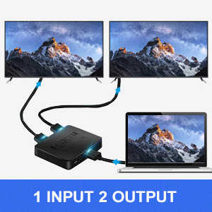 image for this item