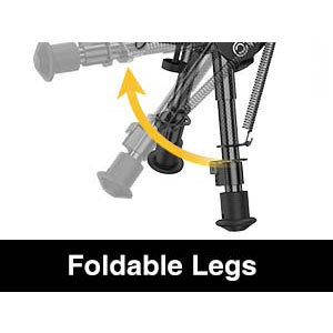 image for this item