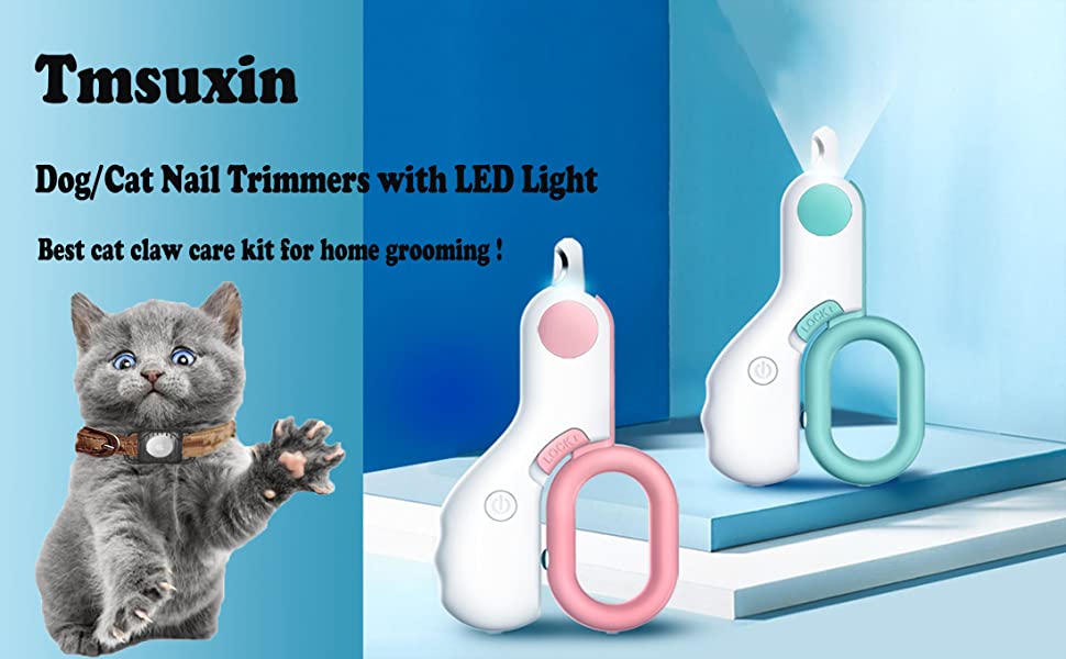 image for this item