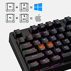 image for this item