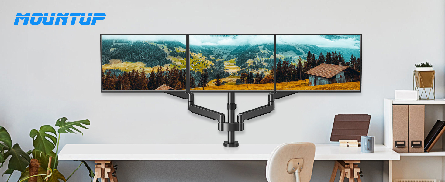 image for this item