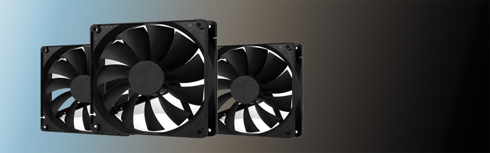 image for this item