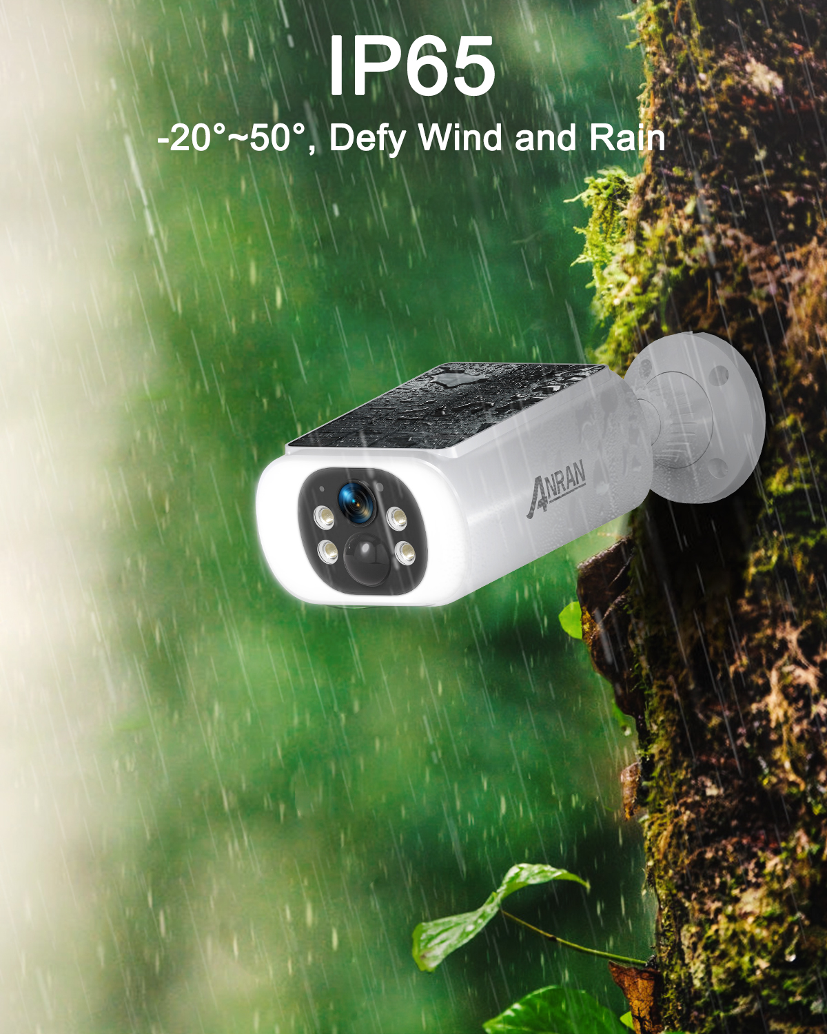 IP camera
