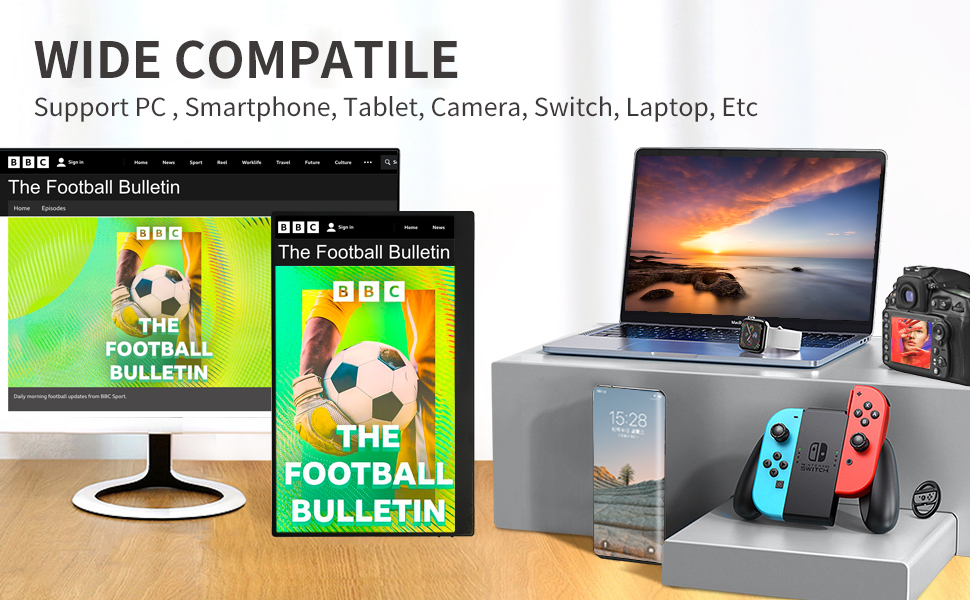 Portable Monitor