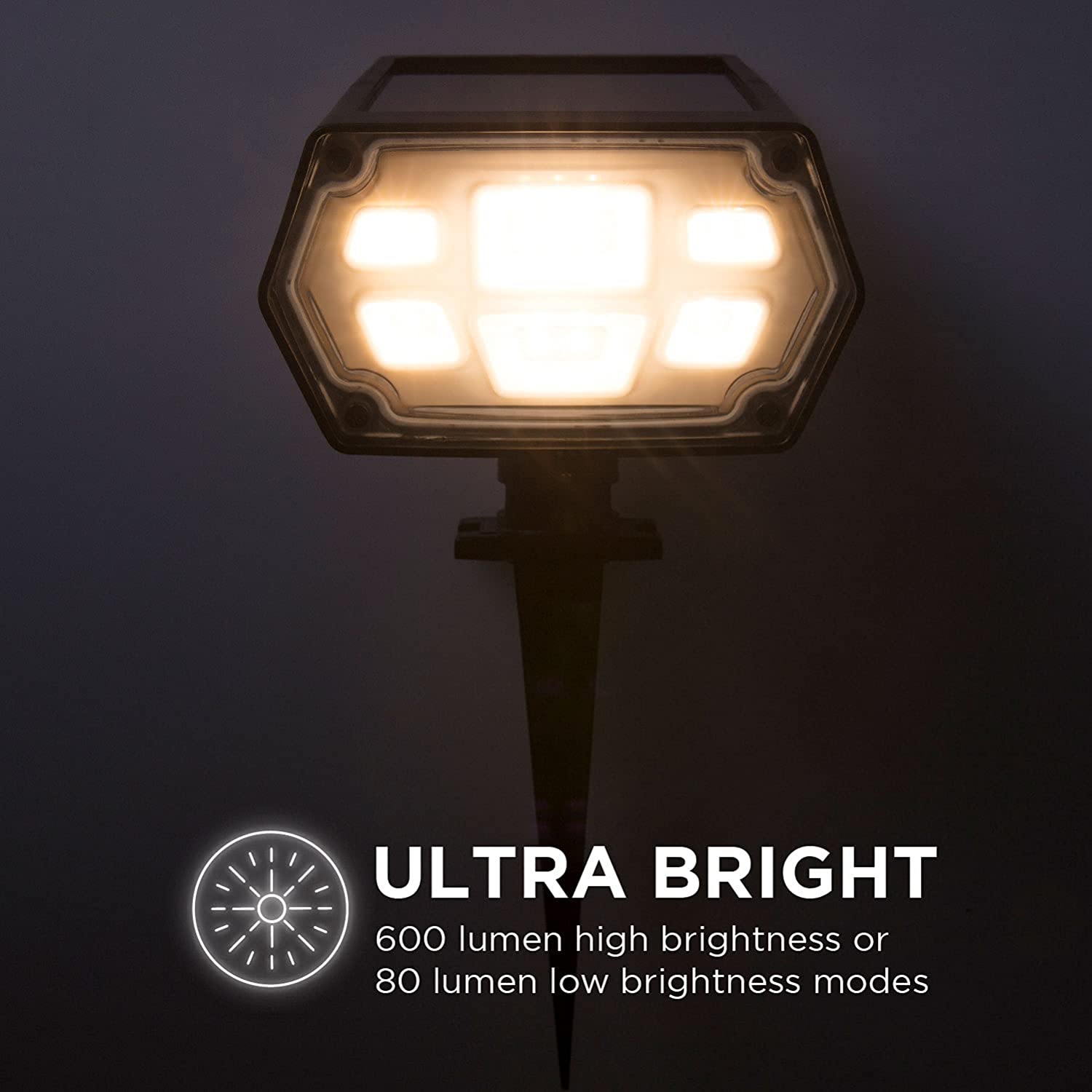 image for this item