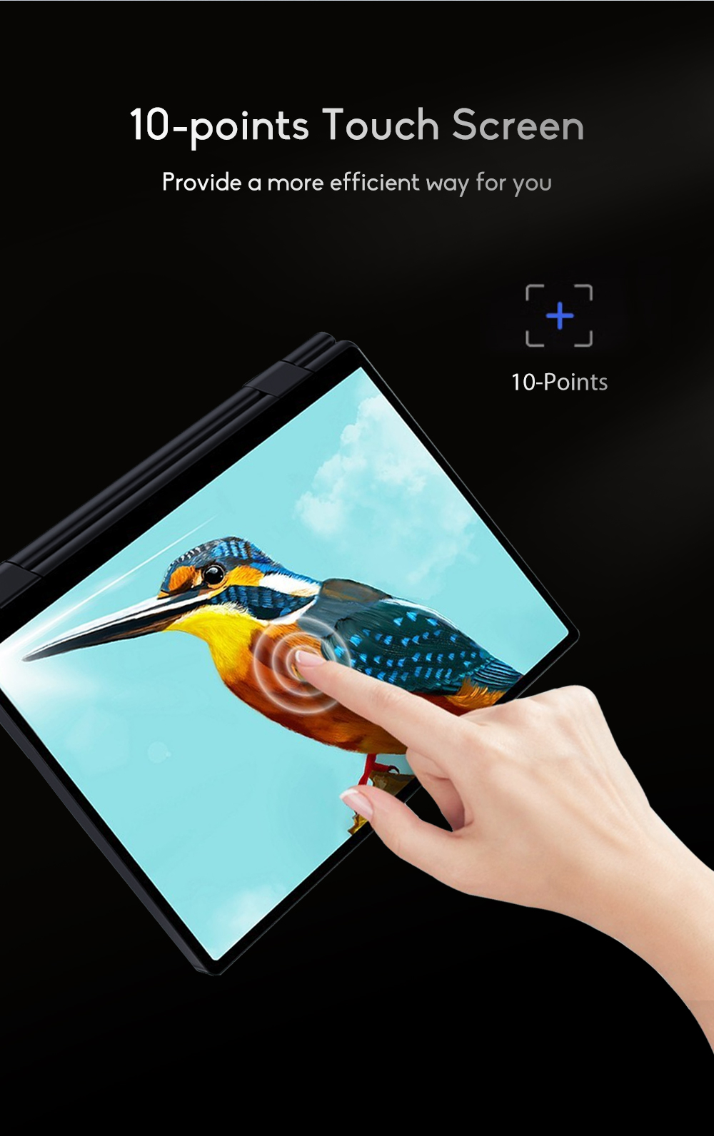 image for this item