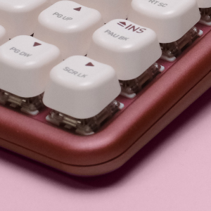 image for this item