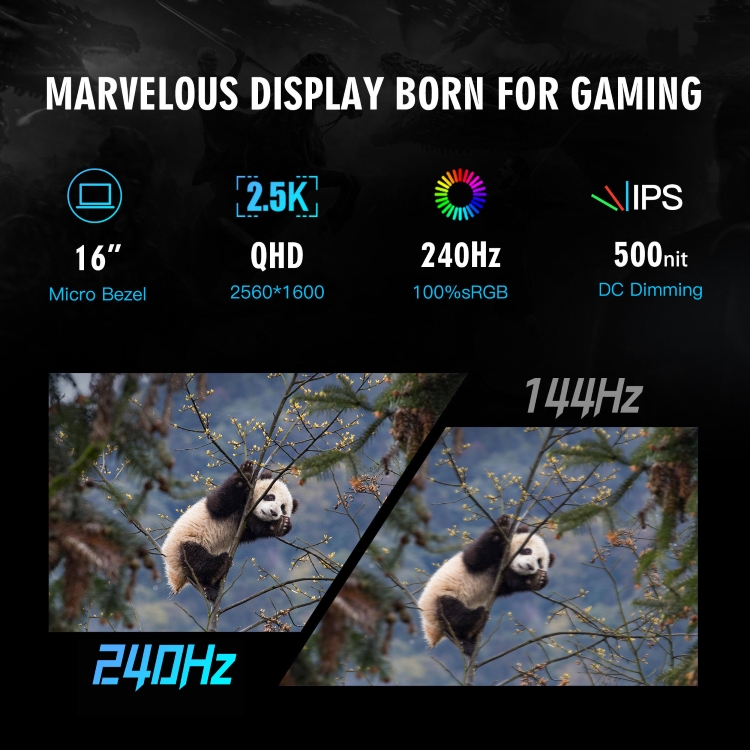 image for this item