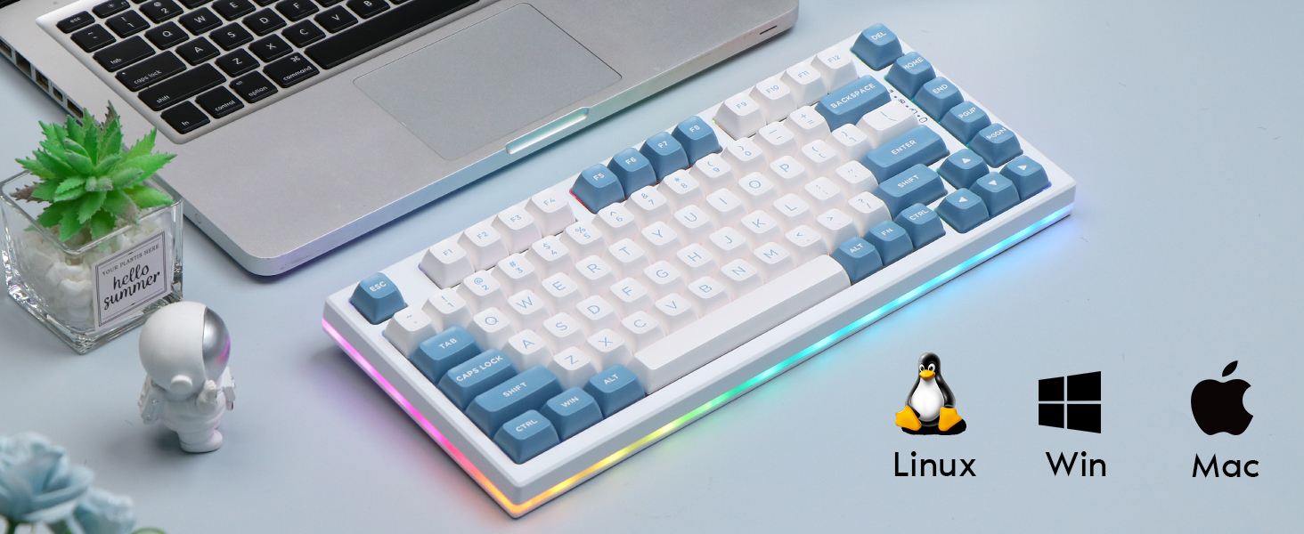 image for this item