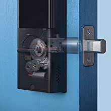 image for this item