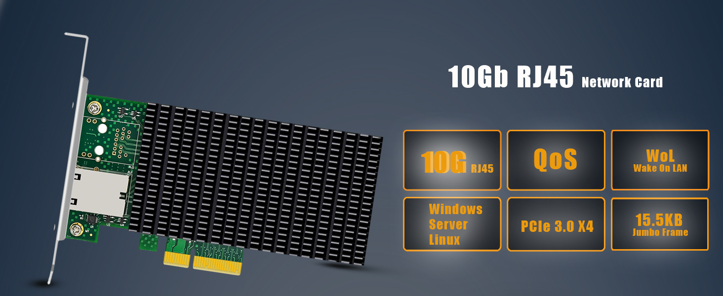 10Gb Network Card