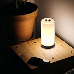 image for this item
