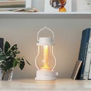 image for this item