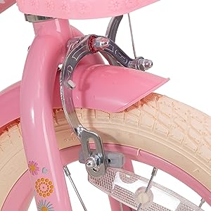 Front Caliper & Rear Coaster Brake