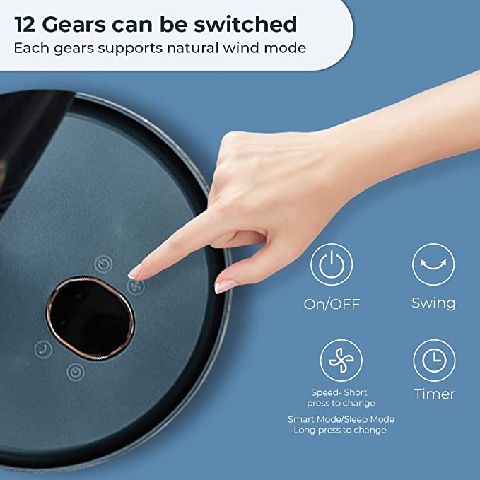 image for this item