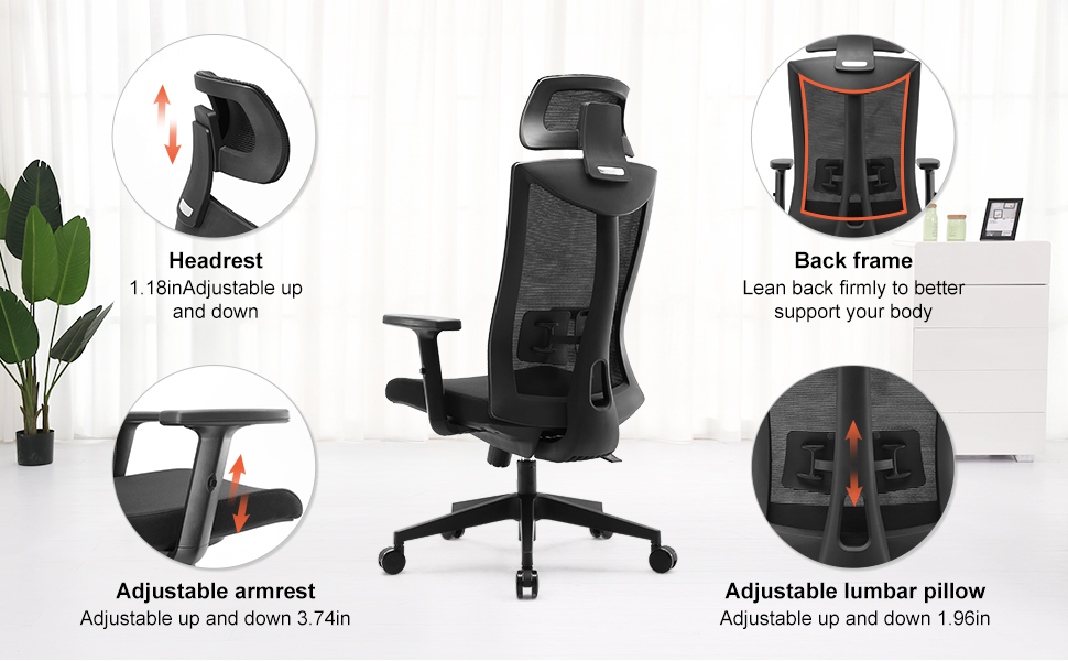 image for this item