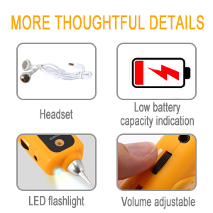 image for this item