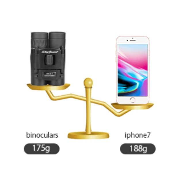image for this item