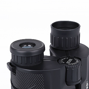 image for this item