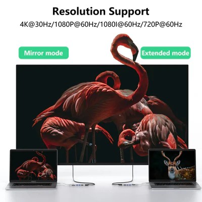 image for this item