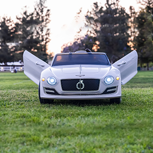 Eye-catching scissor doors