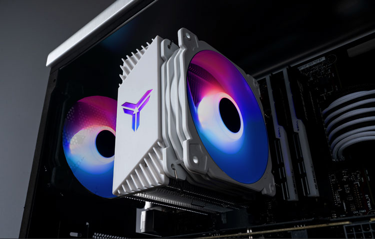 image for this item