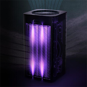 image for this item