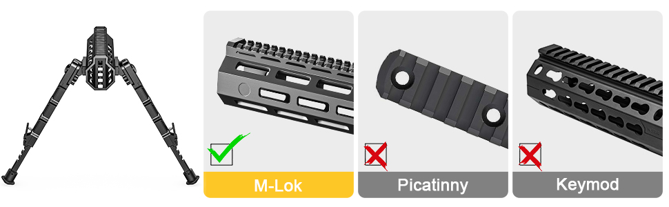 image for this item