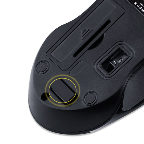 image for this item