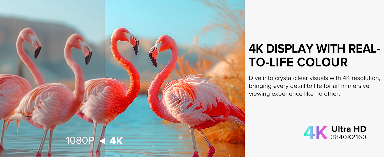 4K MONITOR