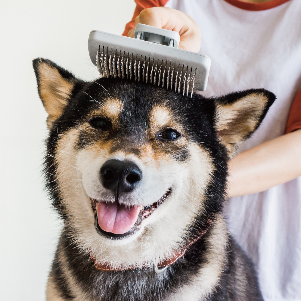 URBANER Self Cleaning Slicker Brush, Dog/Cat, Professional Grooming De-shedding pet supplies, Safe,
