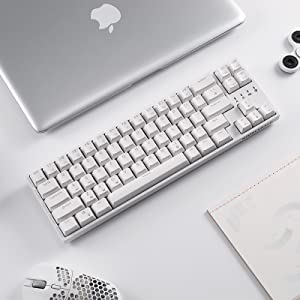 image for this item