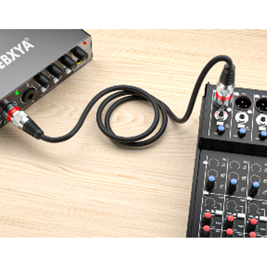 Balanced XLR Male to Female