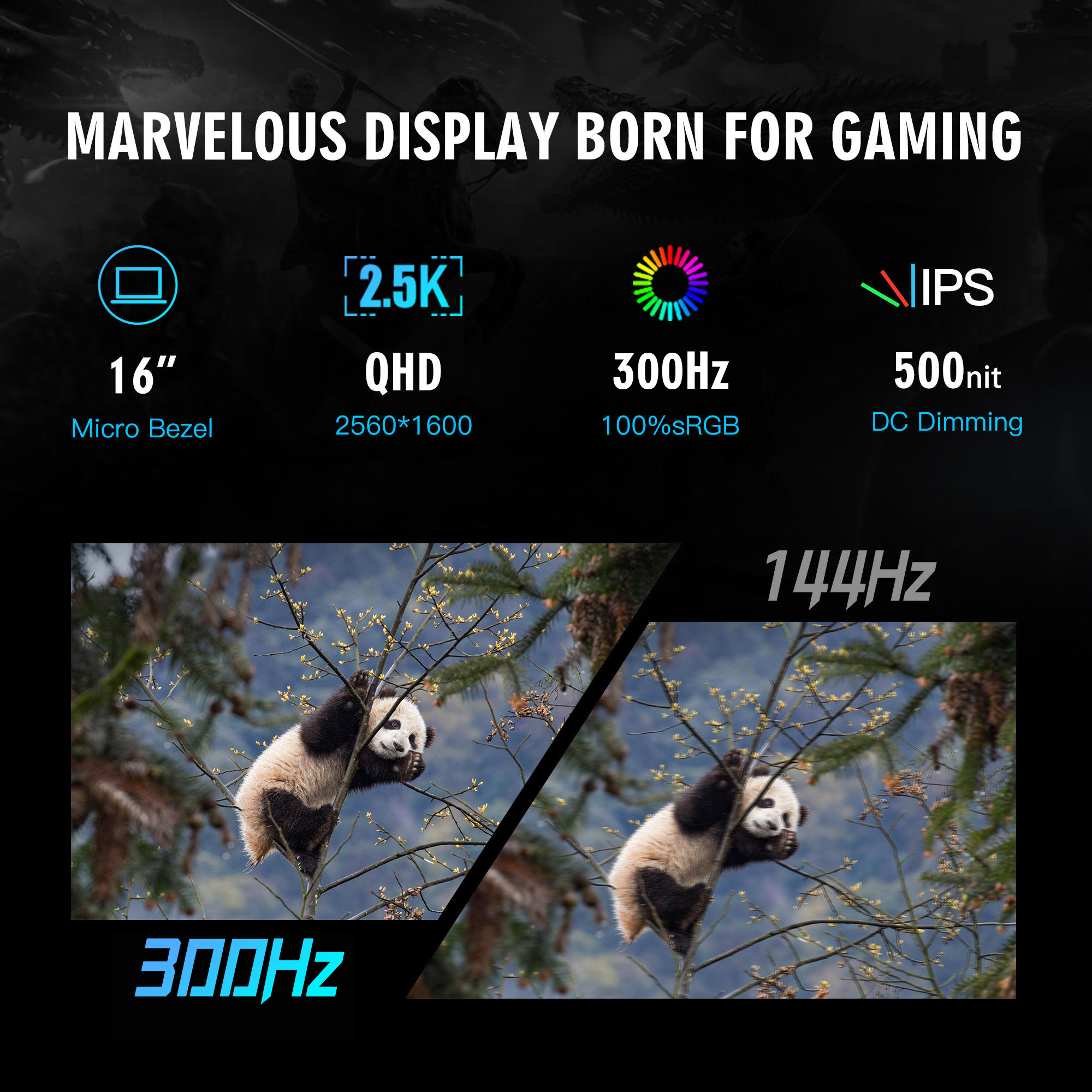 image for this item