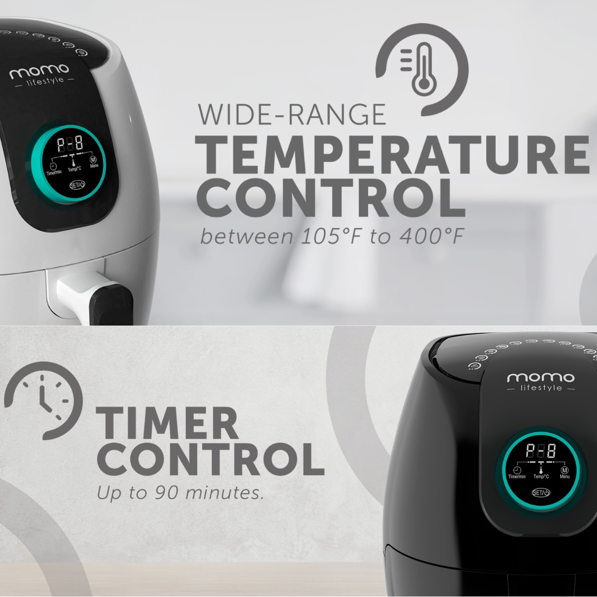 Temperature control fryer